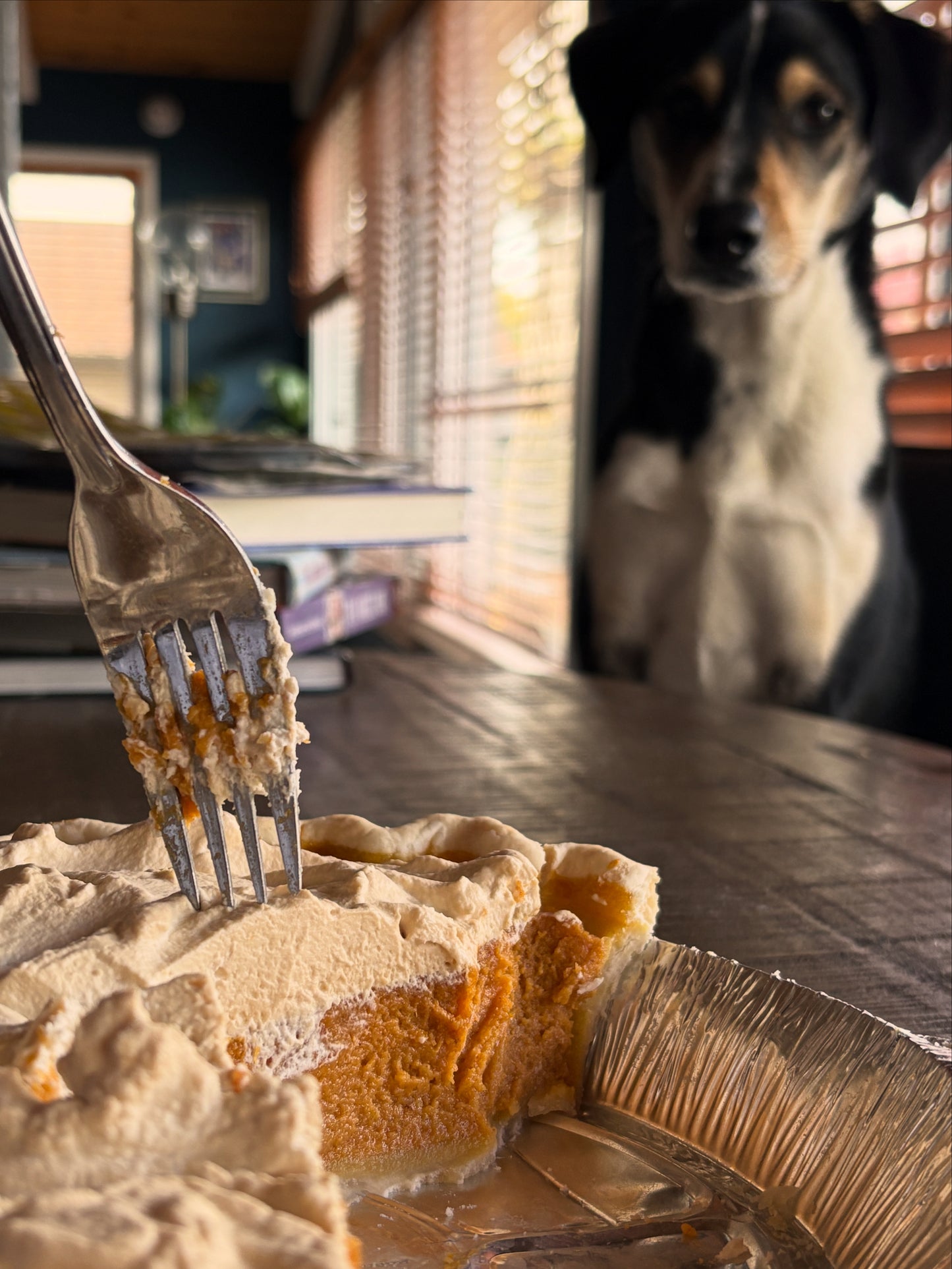 Blue Ribbon Pie Pre-Orders